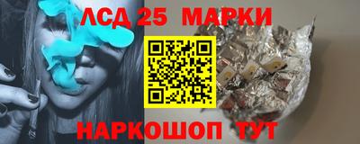СК Новодвинск