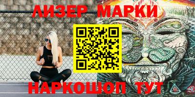 СК Новодвинск