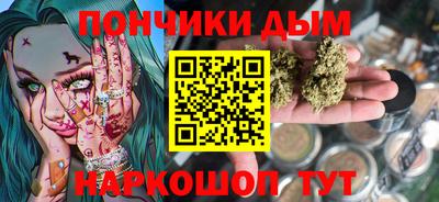 СК Новодвинск