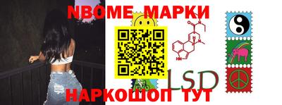 СК Новодвинск