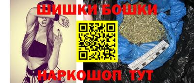 СК Новодвинск