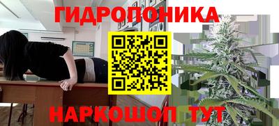 СК Новодвинск