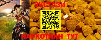 СК Новодвинск